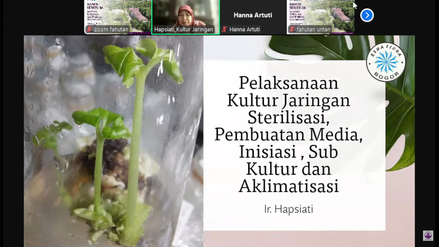 berita